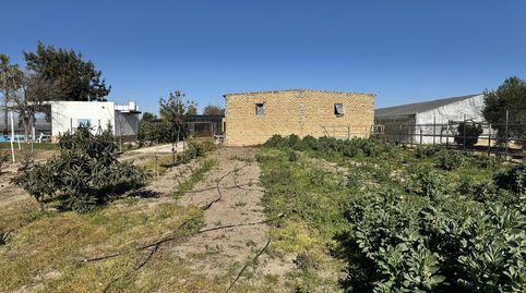 Foto 4 de Terreno en venta en Los Palacios y Villafranca, Sevilla
