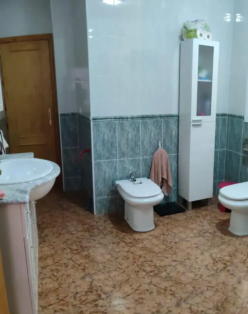 Bathroom of Commercial properties for sale in Lúcar  with Terrace
