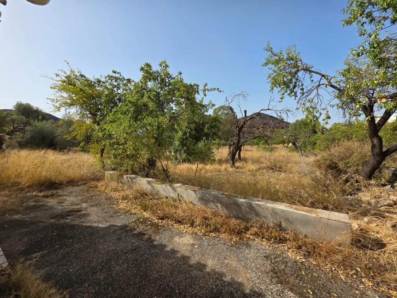 Finca rústica en venda en Bédar amb Jardí privat i Terrassa