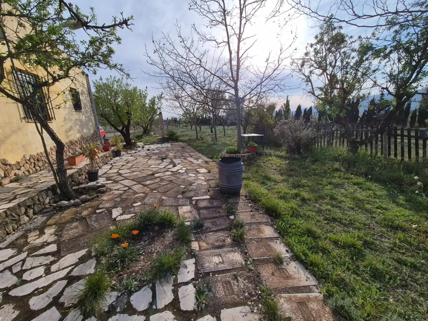 Jardín de Casa o chalet en venta en Salinas