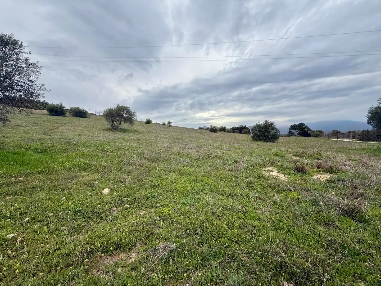 Finca rústica en venta en Ronda