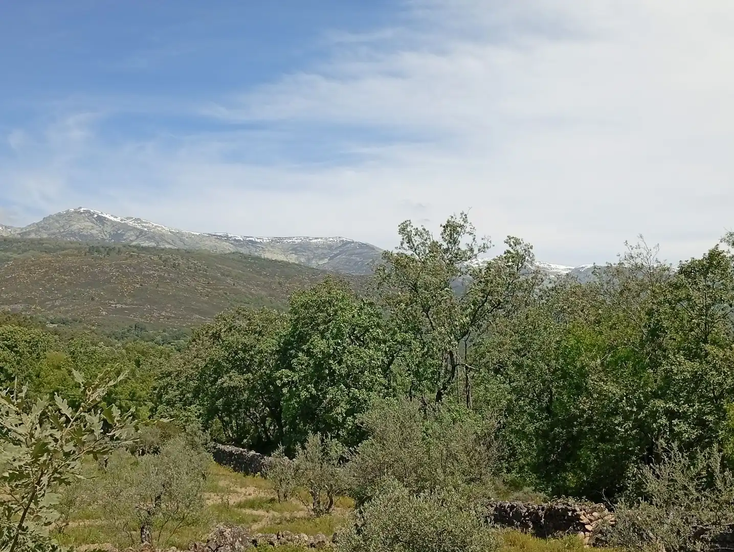 Terreni e lotti in vendita a Villanueva de la Vera, imagen 123