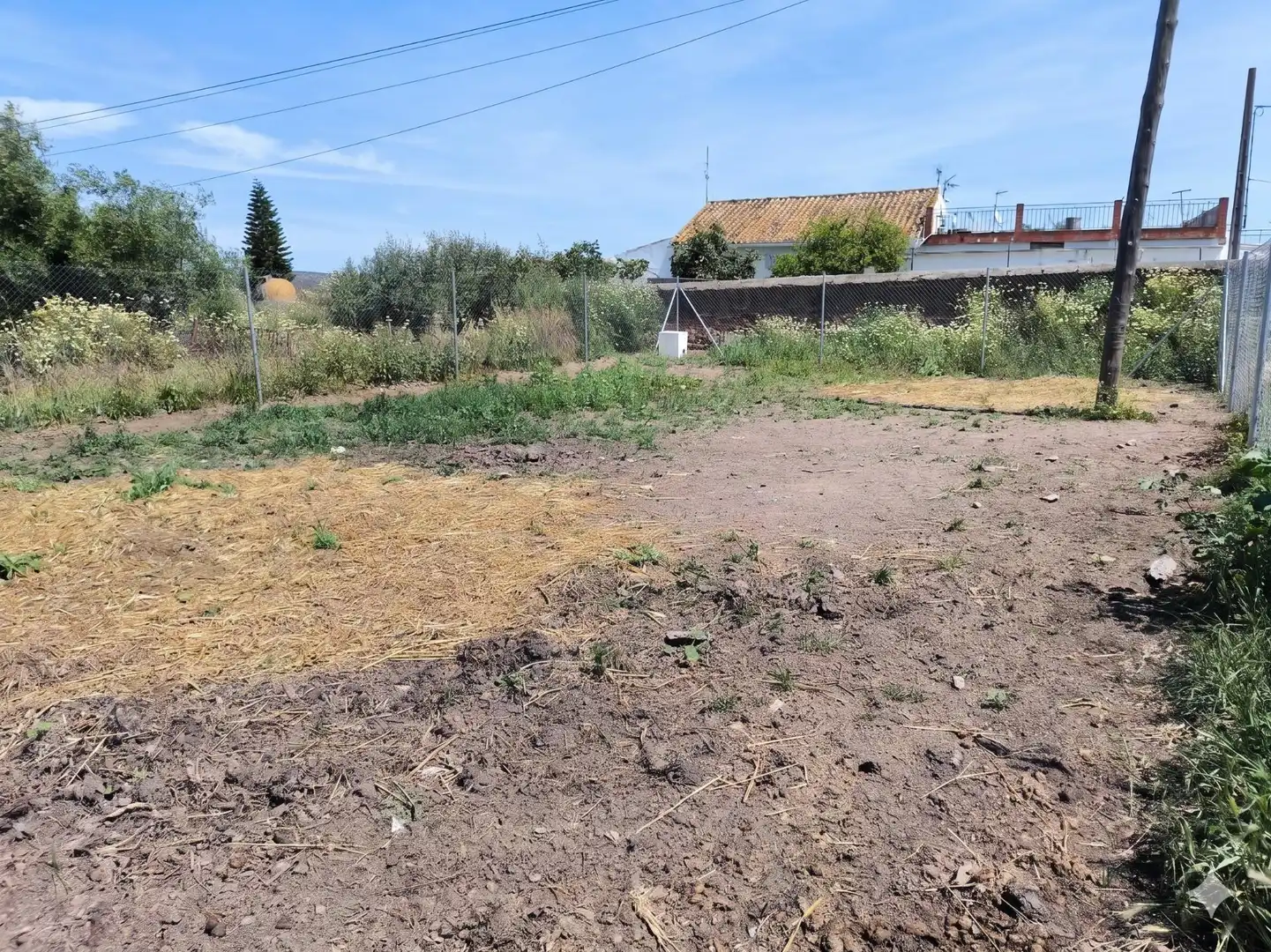 Residential land for sale in Calle Don Pedro Donaire, imagen 4