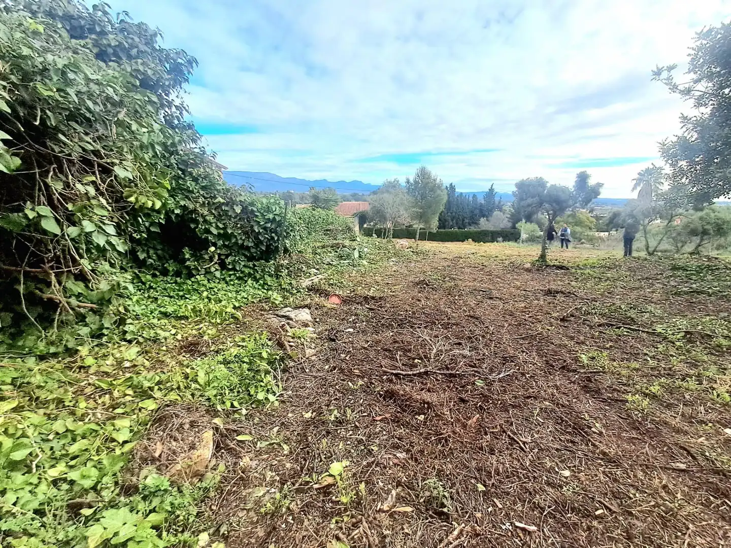 Terrenos y solares en venta en Calle El Pedregal, imagen 11