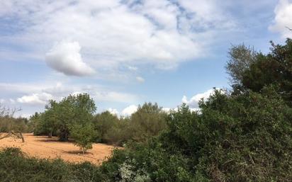 Land for sale in Porreres