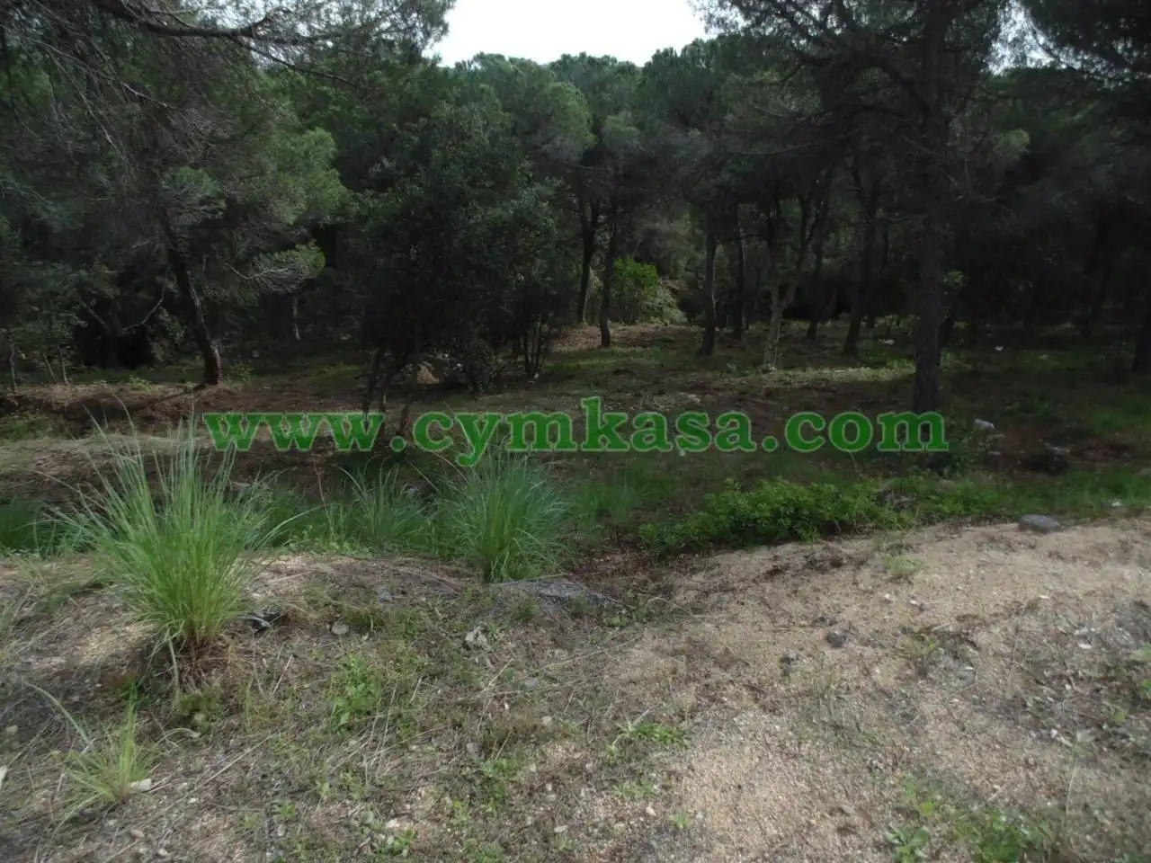 Terreno residencial en venta en Calle PEDRAFORCA 13, imagen 4