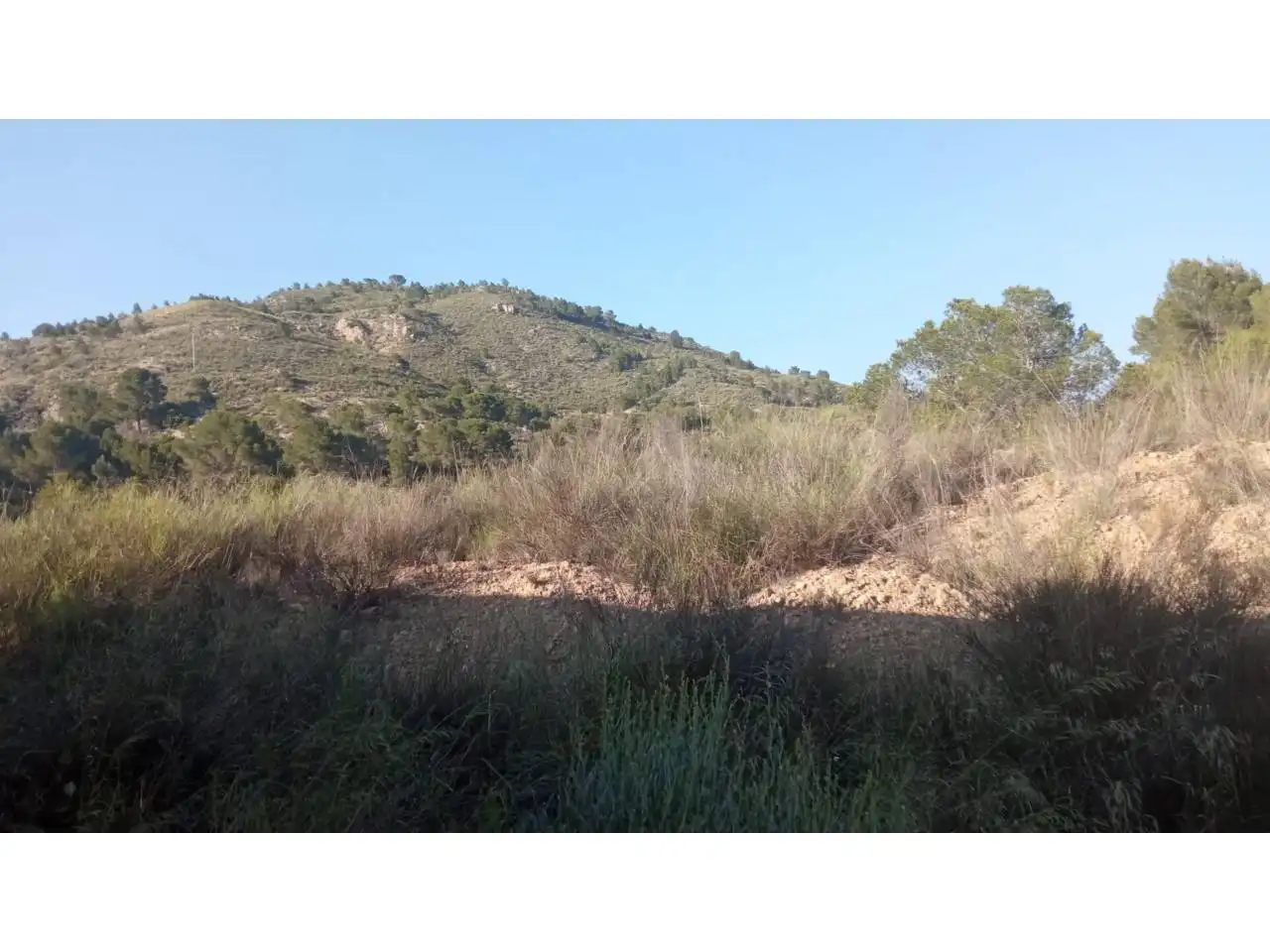 Terreny residencial en venda a Calle Almadrava, imagen 6