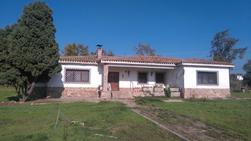 Garden of House or chalet for sale in Talavera de la Reina  with Private garden, Swimming Pool and Alarm