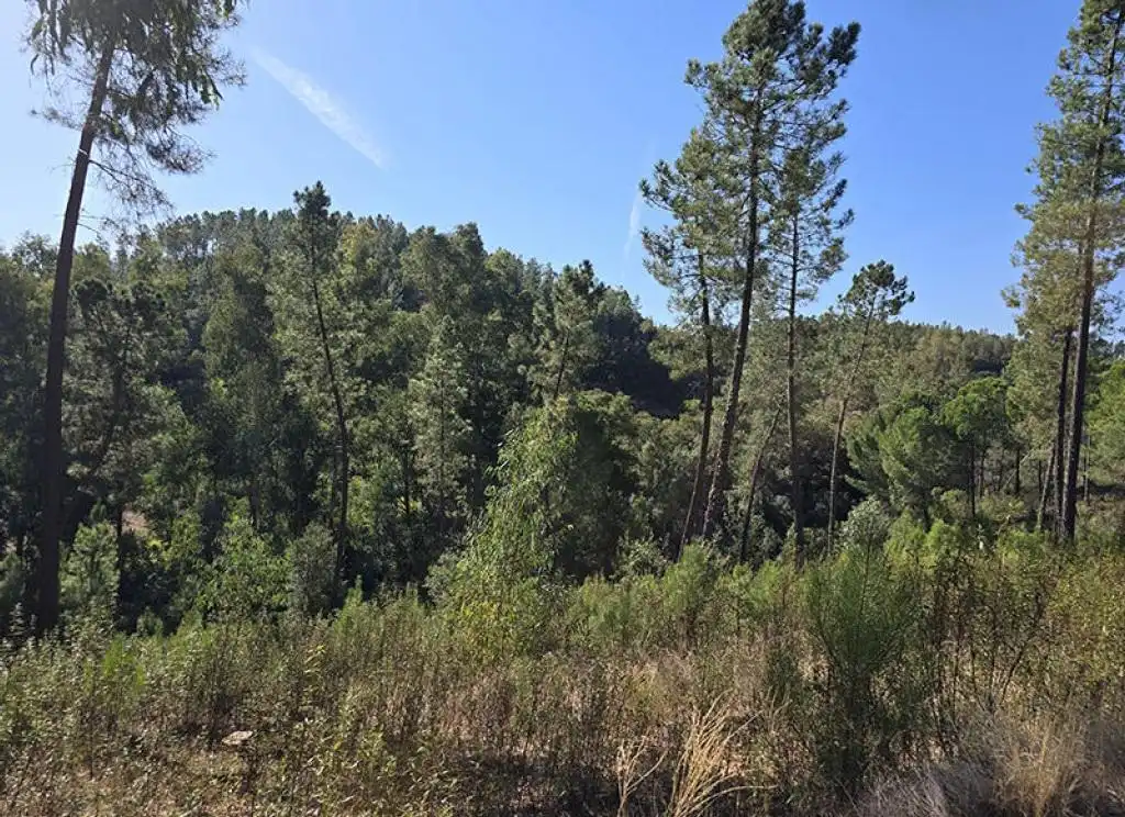 Terreni e lotti in vendita a Pedanías de Badajoz, imagen 6