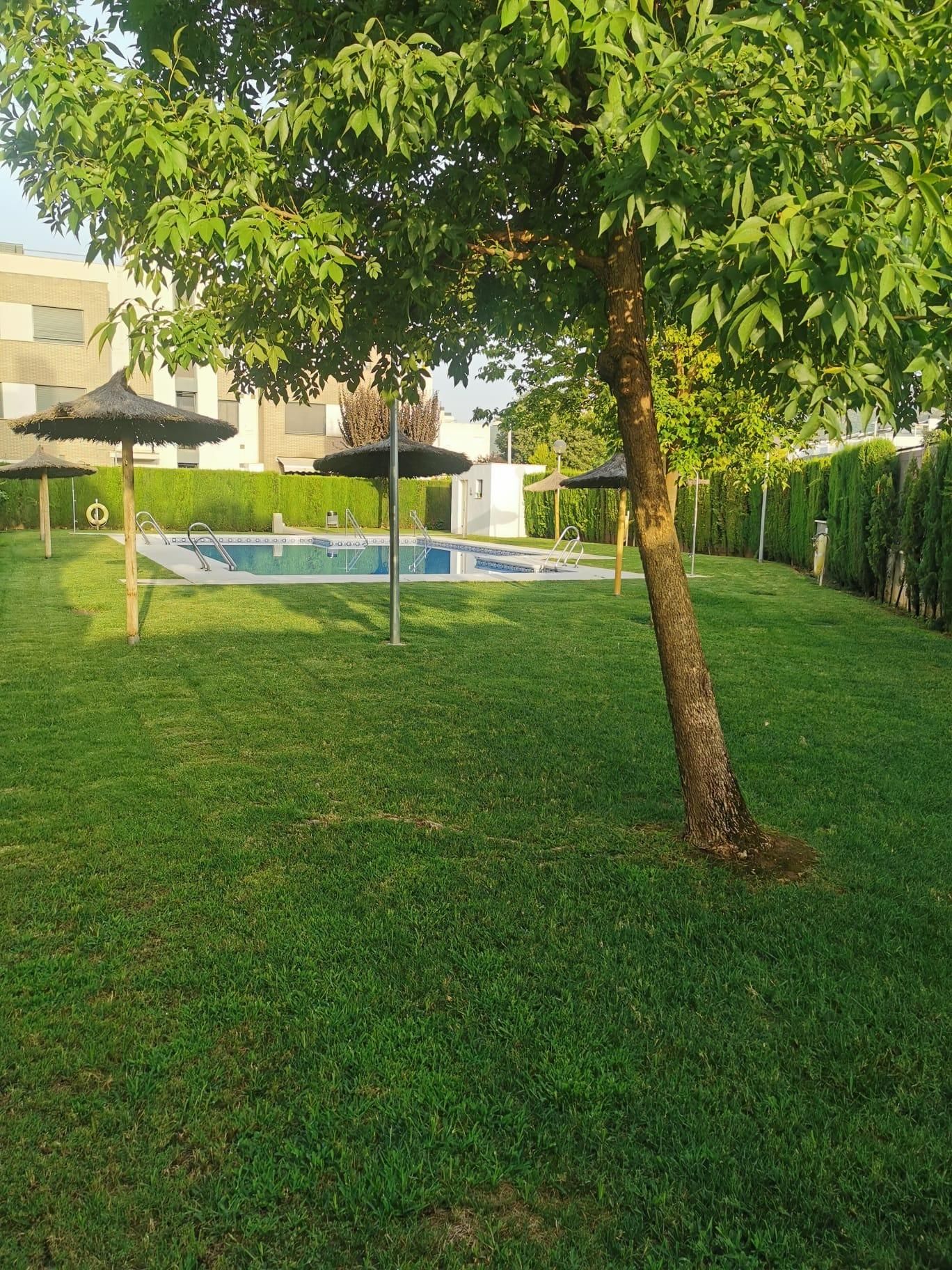 Swimming pool of Flat for sale in  Córdoba Capital  with Air Conditioner and Heating