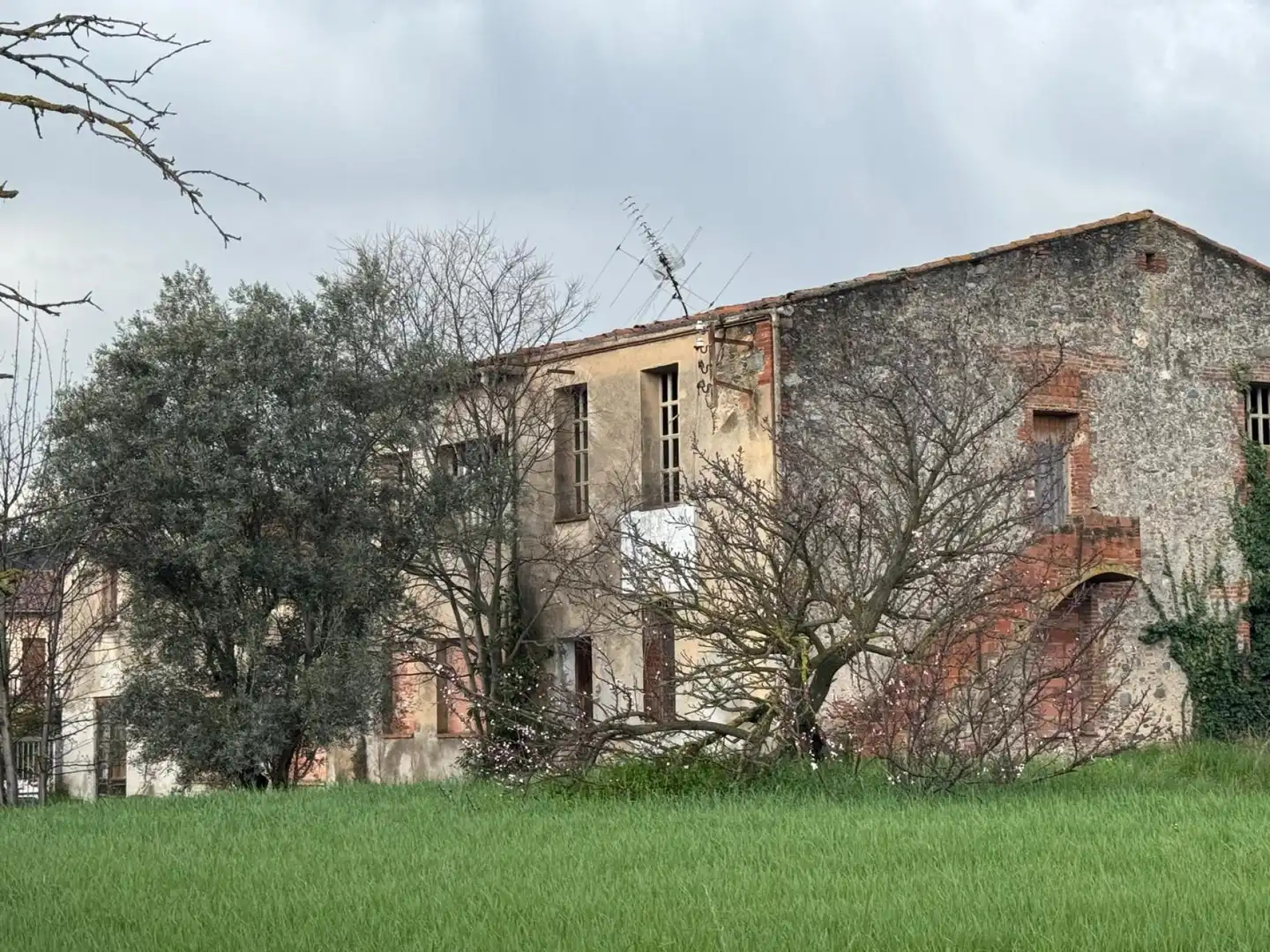 Vista exterior de Finca rústica en venta en Sant Esteve de Palautordera