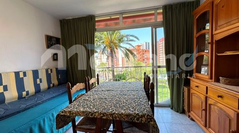 Foto 2 de Estudio en venta en Avenida Montecarlo, Rincón Alto, Benidorm