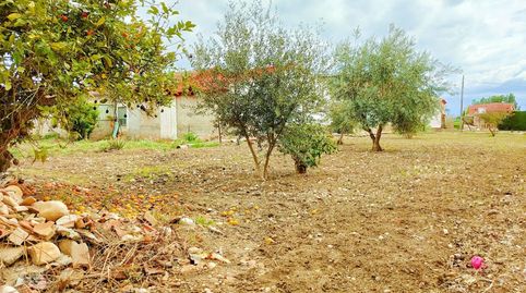 Venta de casa en planta baja en Alguazas., imatge 2