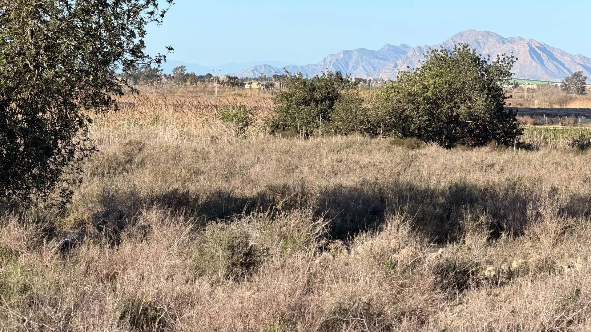 Terreno residencial en venta en La Marina, imagen 25