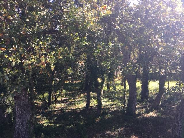 Terreno residencial en Venta en Carrer del Montseny en Golf Costa Brava