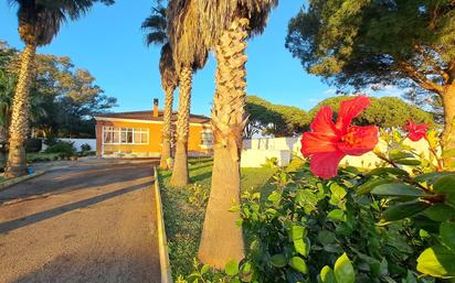 Vista exterior de Casa o xalet en venda en Chiclana de la Frontera