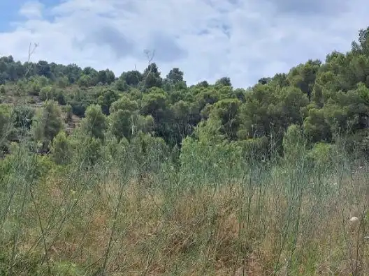 Land for sale in Orba