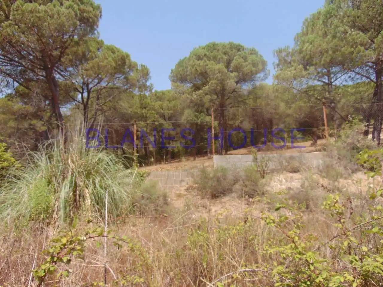 Residential land for sale in Calle PUIGMAL, imagen 3