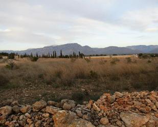 Land for sale in Roquetes