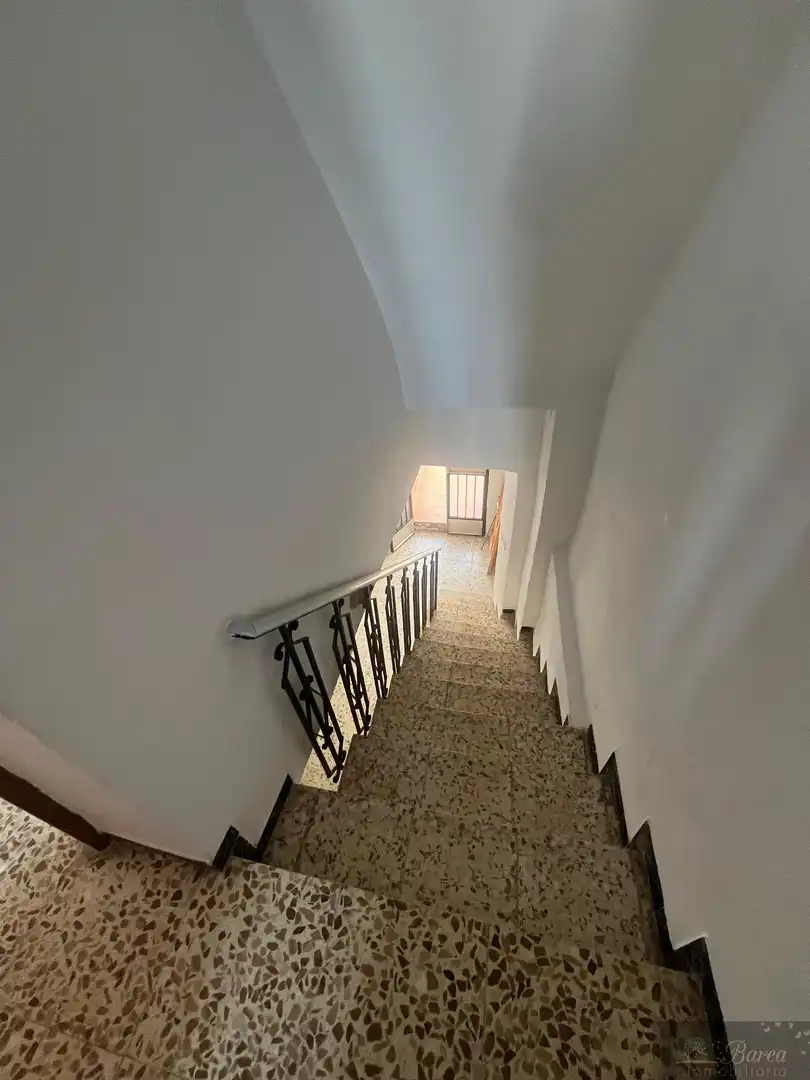 House with terrace for sale in Rute, imagen 11