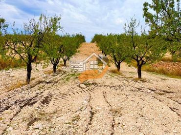 Maison rustique à vendre à Pedanías Norte