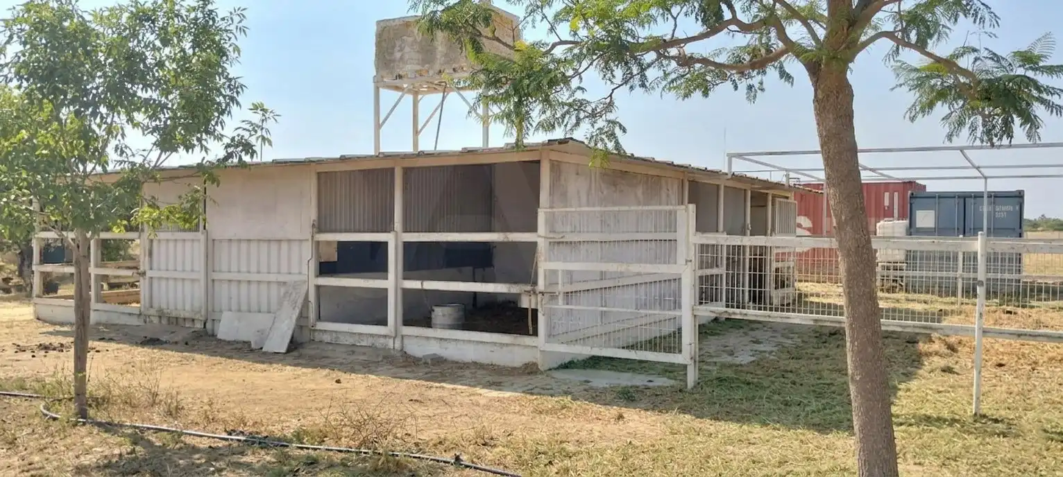 Terreni e lotti in vendita a La Hacienda - Nueva Andalucía, imagen 19