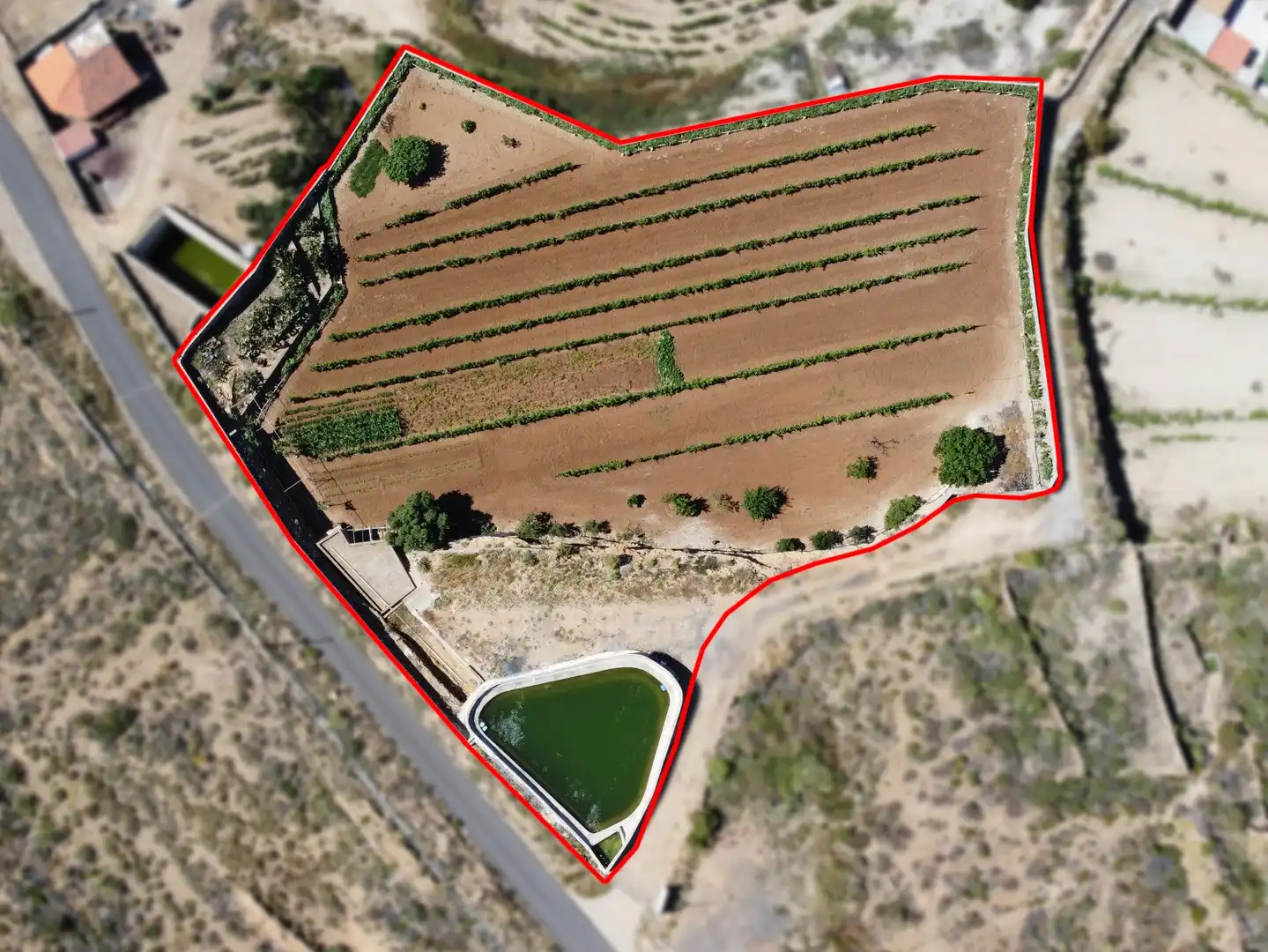 Terreno rustico in vendita a N/A, imagen 2