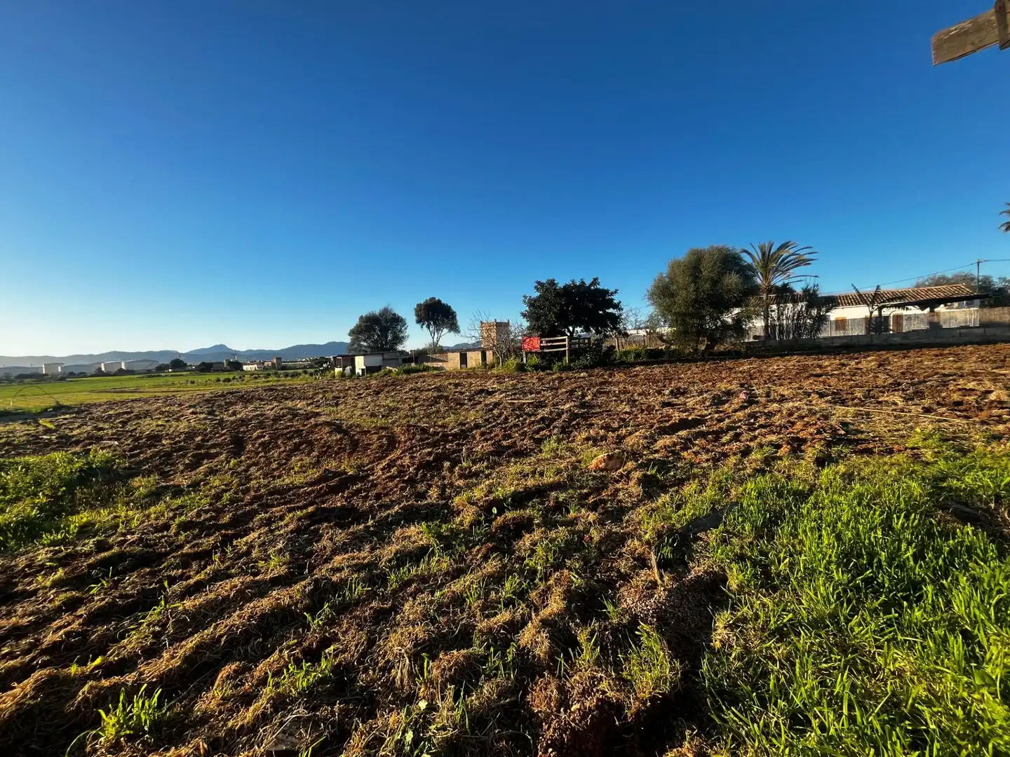 Terreny rústic en venda a Llevant, imagen 19