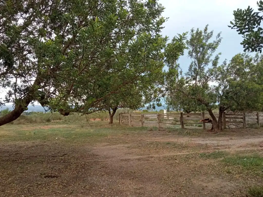 Residencial en venta en Llíria, Santa Bárbara
