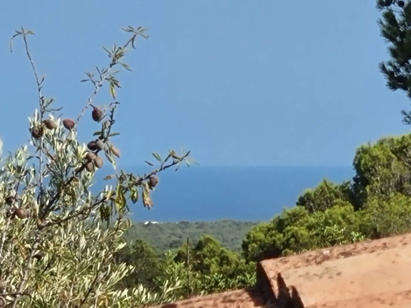 Finca rústica en venda en L'Ametlla de Mar 