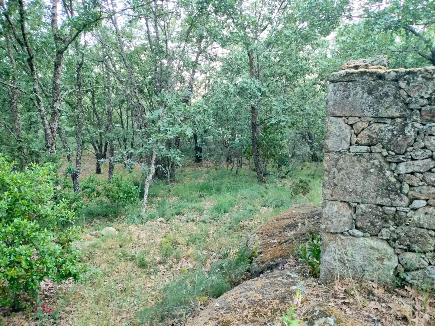 Terreni e lotti in vendita a Villanueva de la Vera, imagen 4