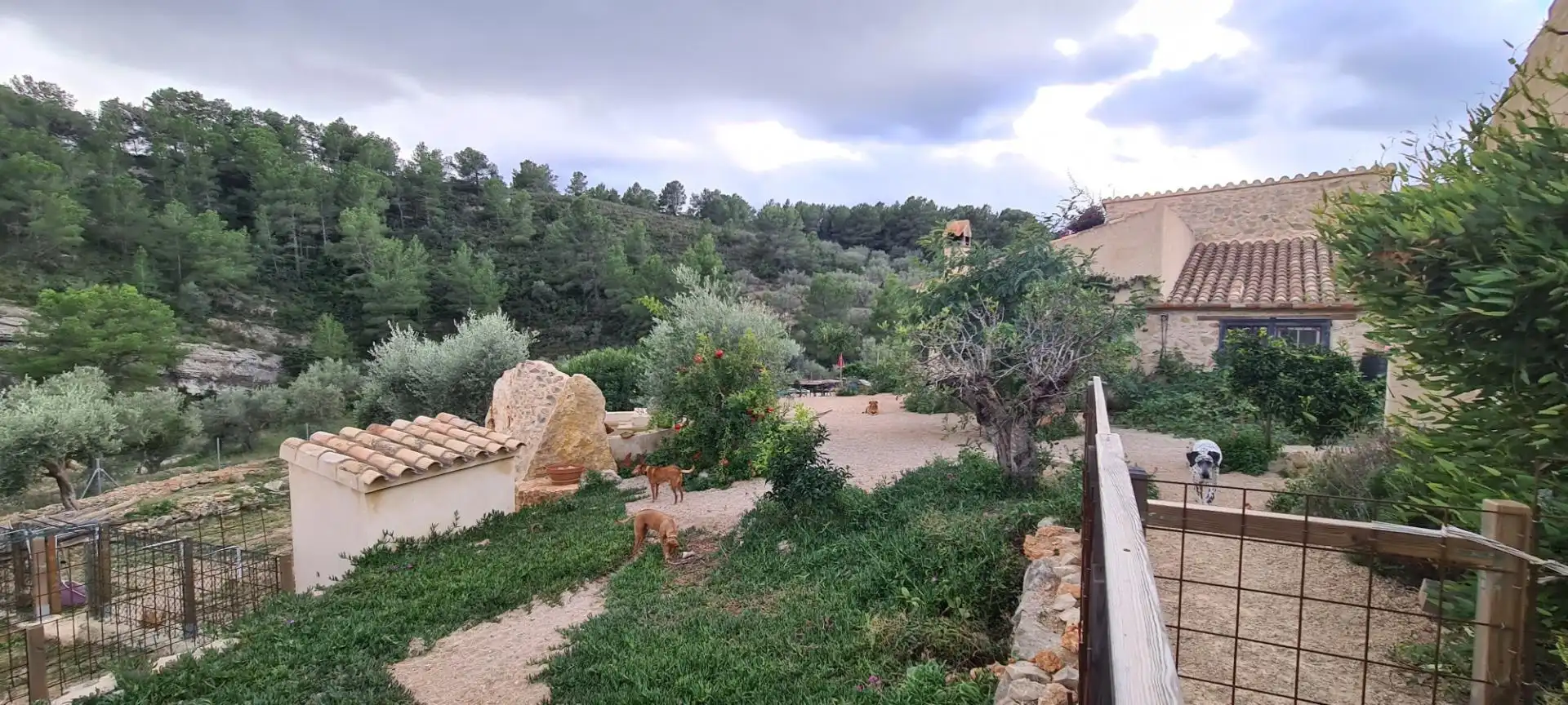 Landhaus mit Garten zum Verkauf in El Perelló, imagen 34