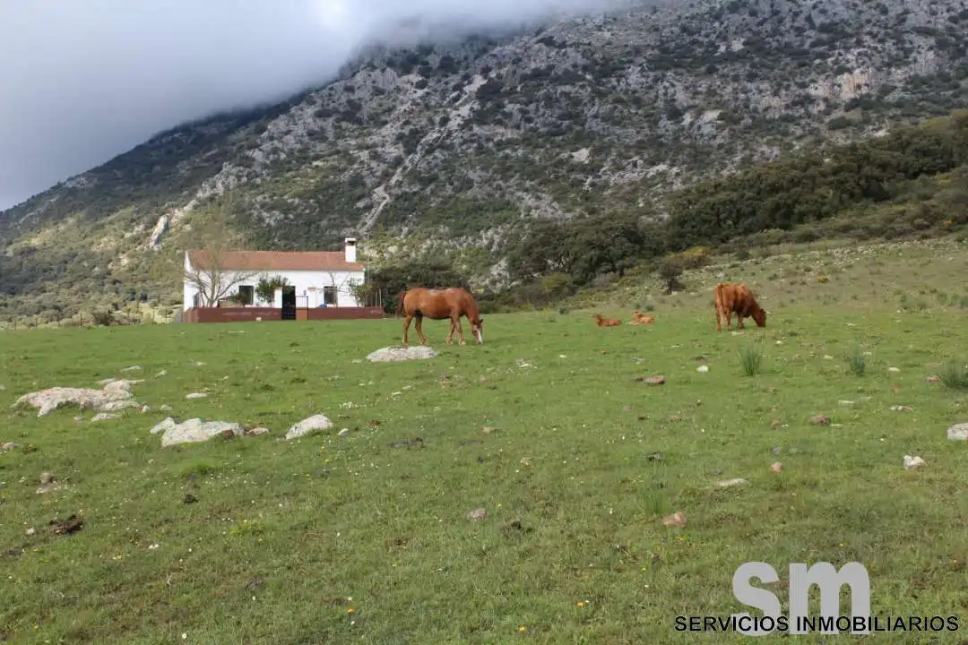 Terreni e lotti in vendita a Cortes de la Frontera, imagen 2
