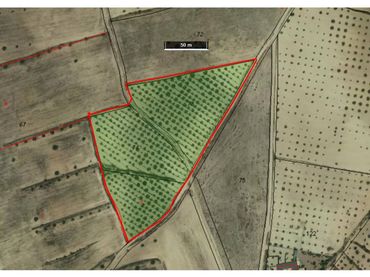 Terreny residencial en venda a 39