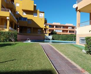 Swimming pool of Premises for sale in Salobreña