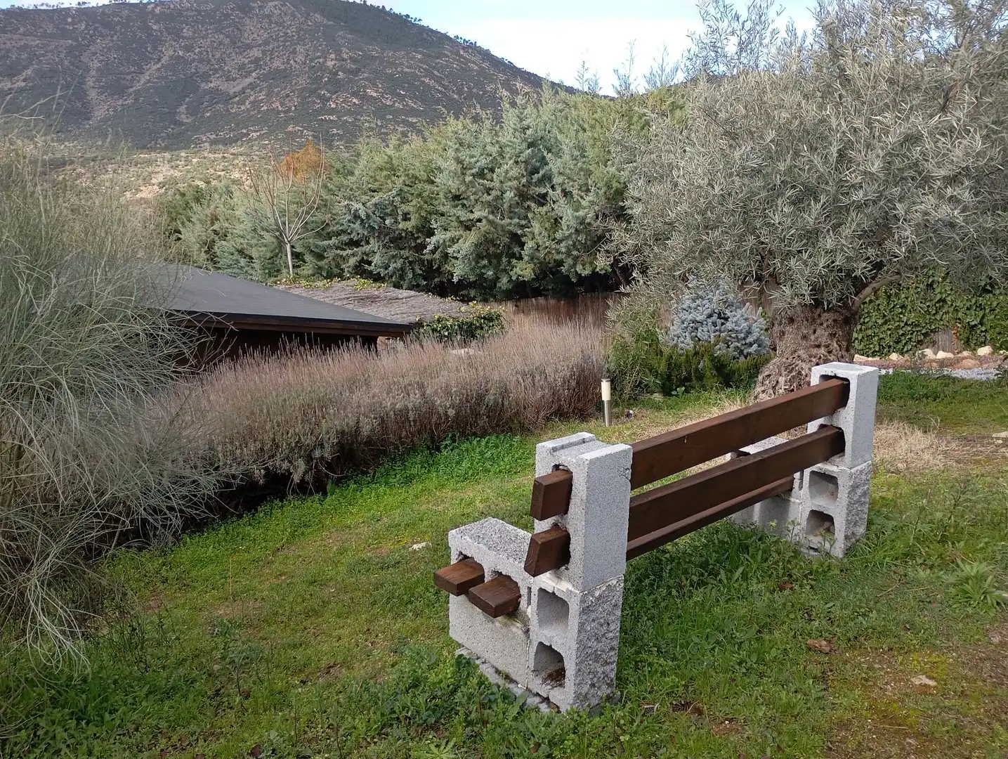 Jardí de Casa o xalet en venda en Robledo de Chavela amb Aire condicionat, Calefacció i Jardí privat