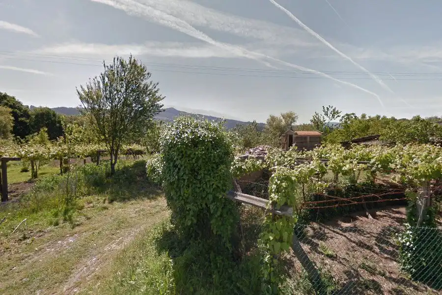 Nave industrial in vendita a Cuntis, imagen 4
