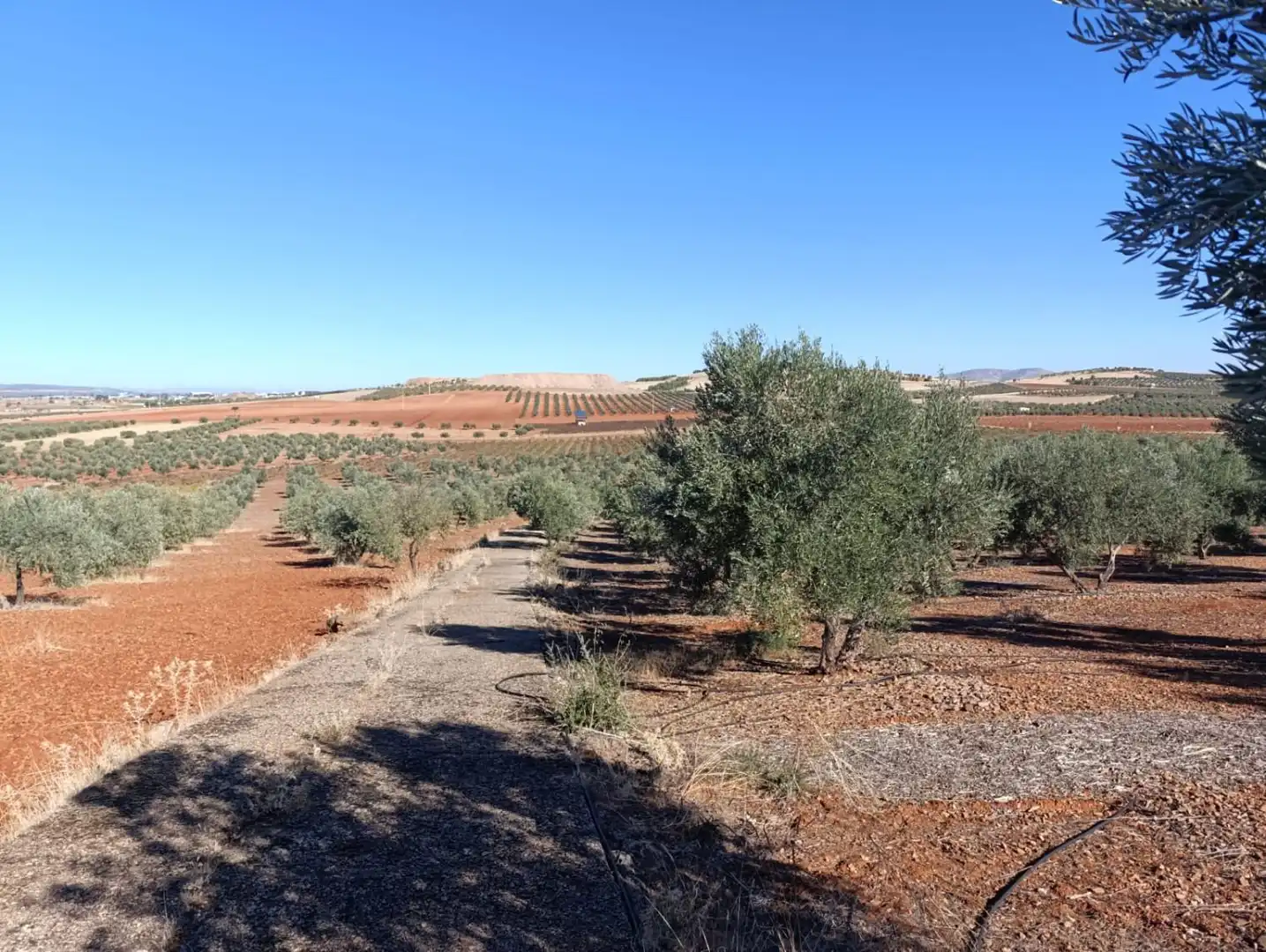 Casa rústica en venda a Valdepeñas, imagen 29