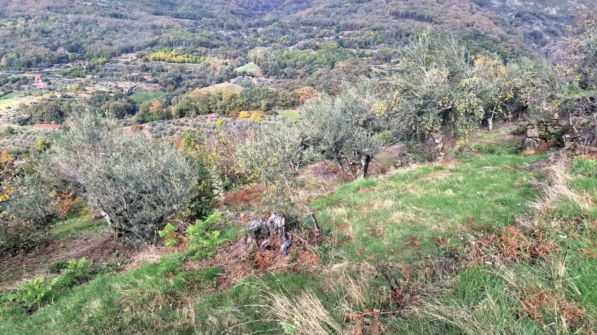 Terreno en venta en Guijo de Santa Bárbara