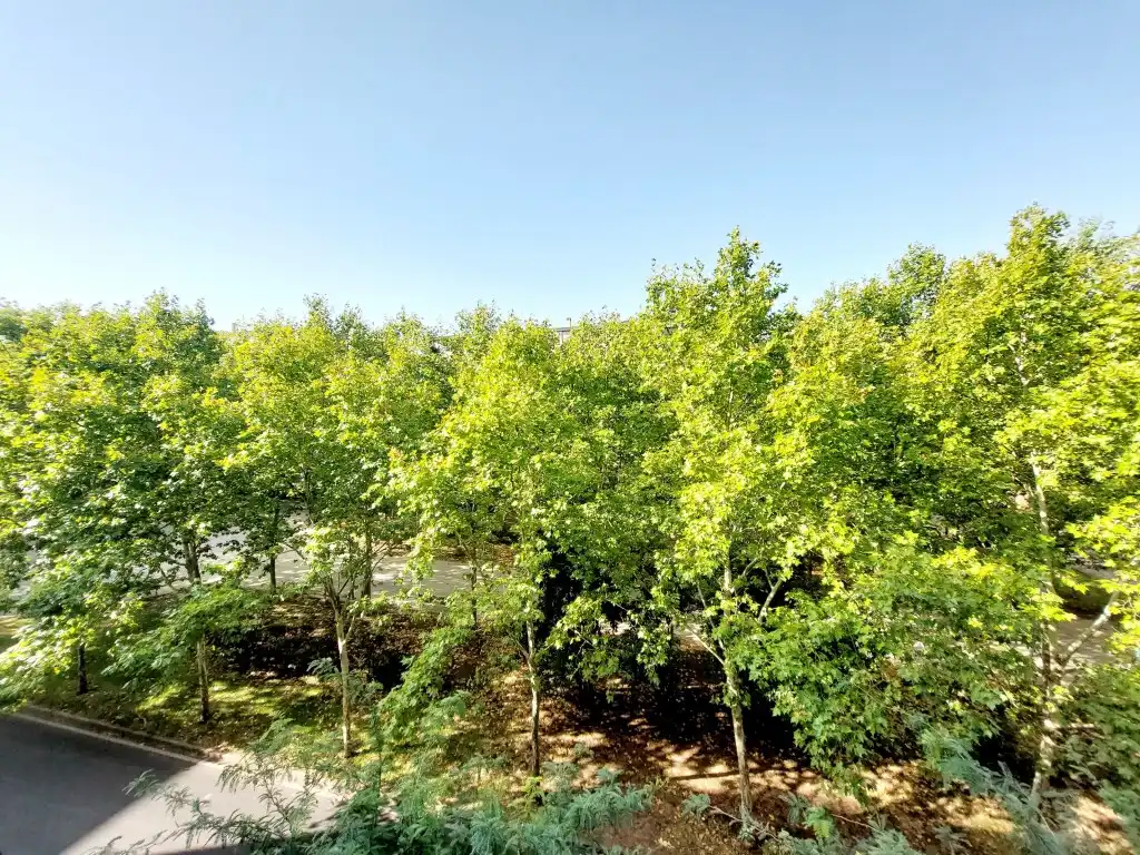 Appartement avec ascenseur à louer à Maria Auxiliadora - Barriada de Llera, imagen 3