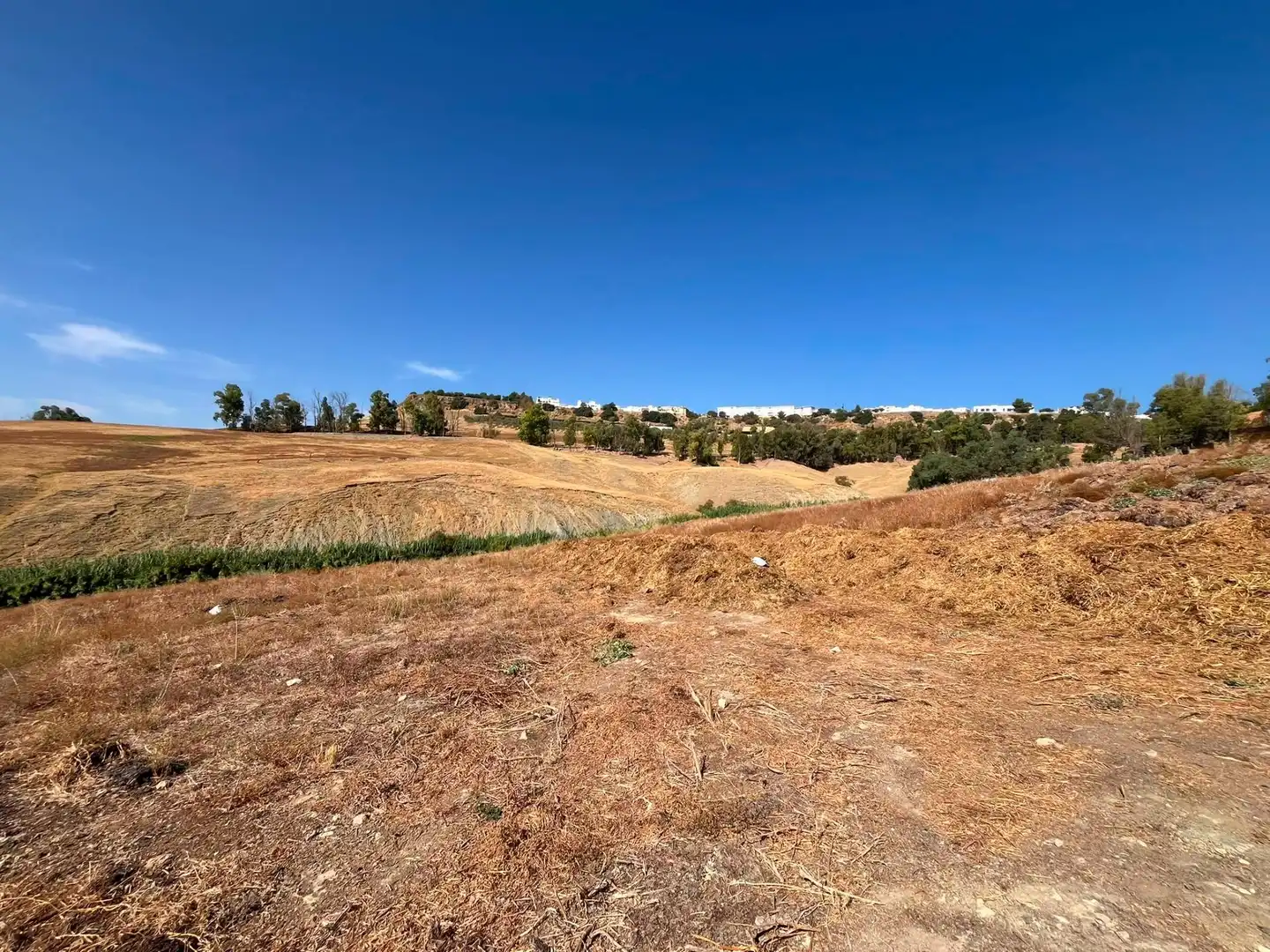 Rural land for sale in Carmona, imagen 3