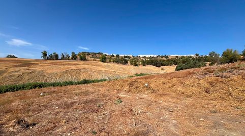 Venta de finca rústica en Carmona Sevilla, immagine 3