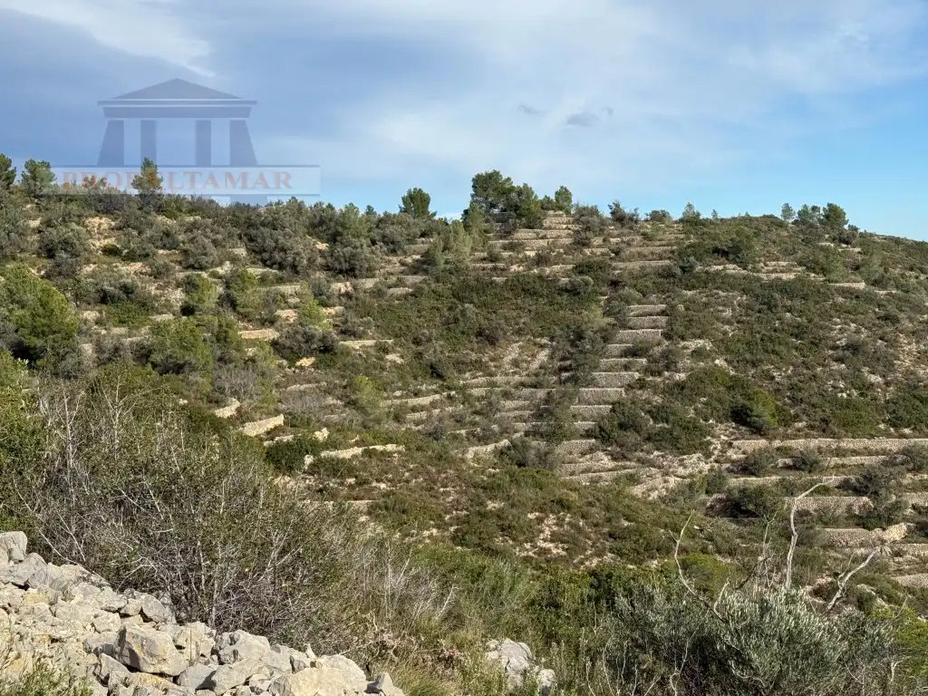 Country house for sale in Poligono 82 Paraje 6 Camp-Redo, imagen 7