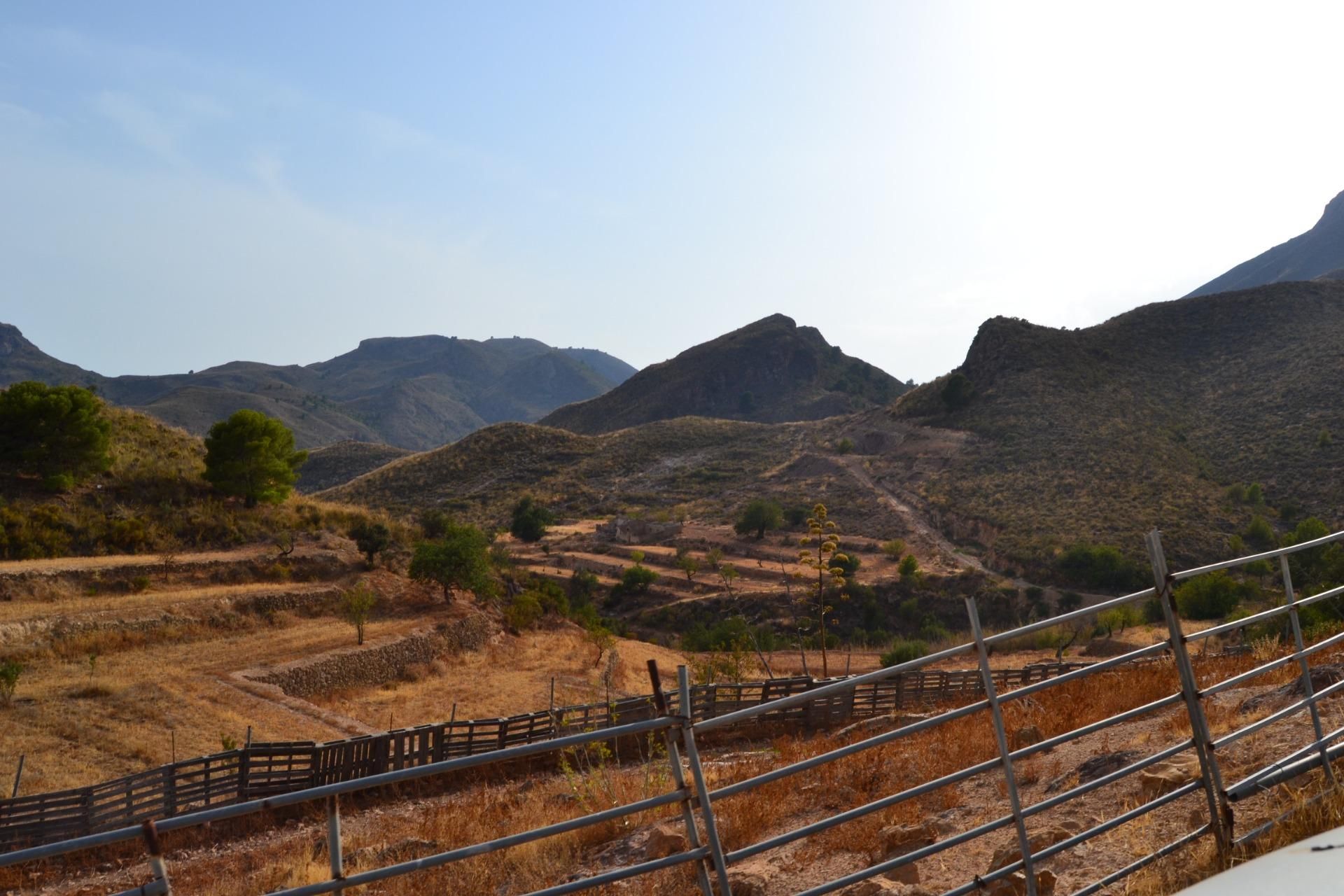 Exterior view of Country house for sale in Lorca  with Private garden