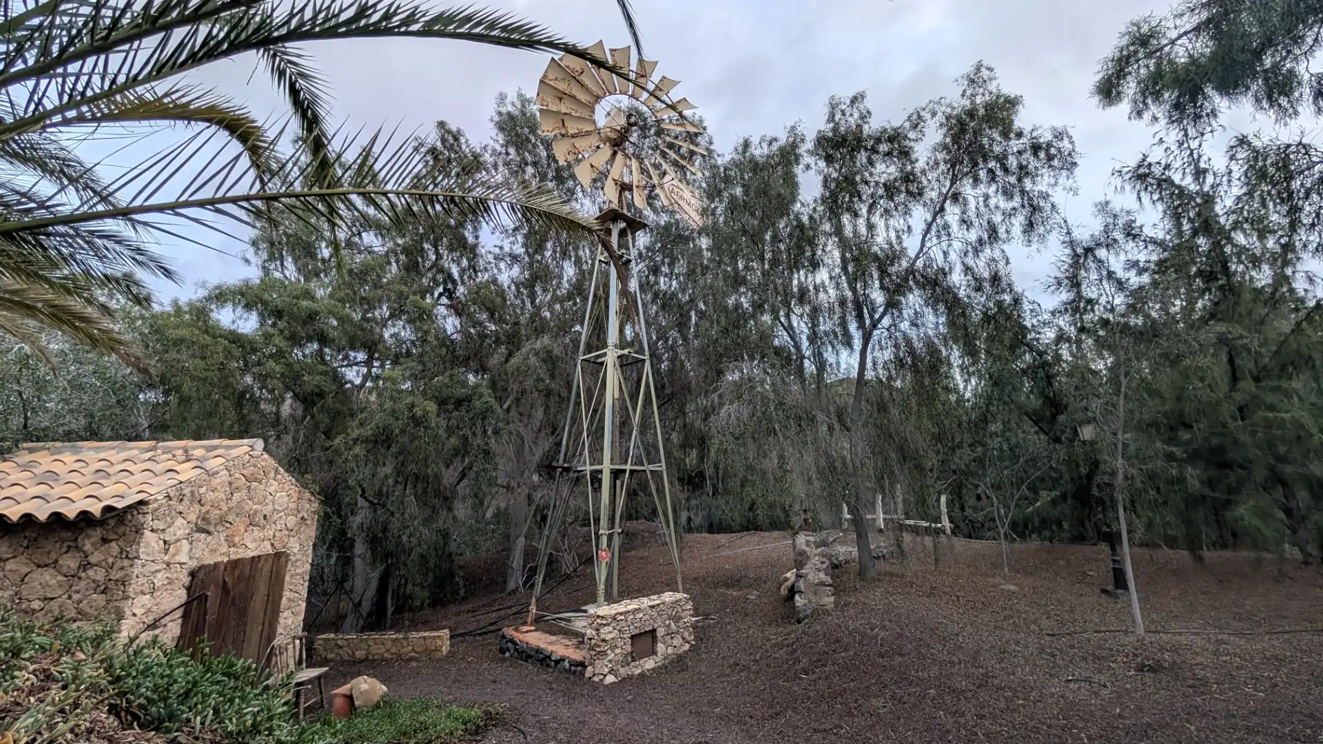 Jardí de Casa o xalet en venda en Pájara amb Jardí privat, Terrassa i Piscina