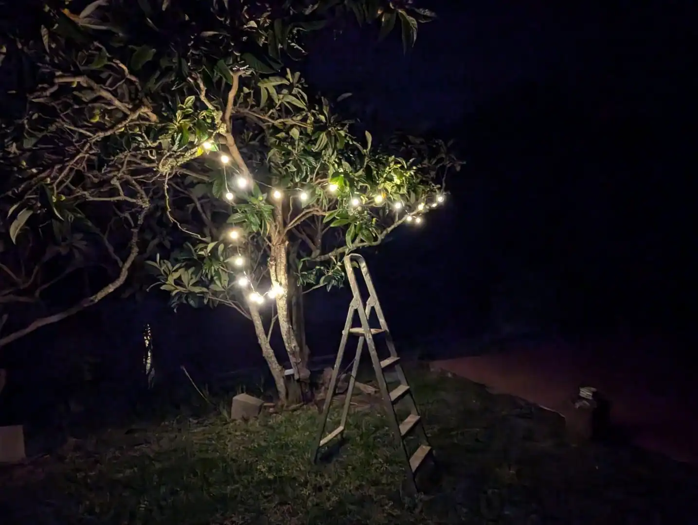 Garden of Houses for rent in Tegueste  with Private garden, Terrace and Swimming Pool
