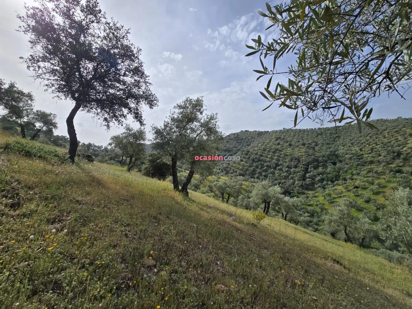 Finca rústica en venta en Pozoblanco