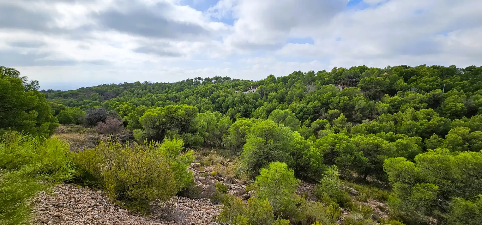 Casa o chalet en venta en Totana con Calefacción, Jardín privado y Terraza