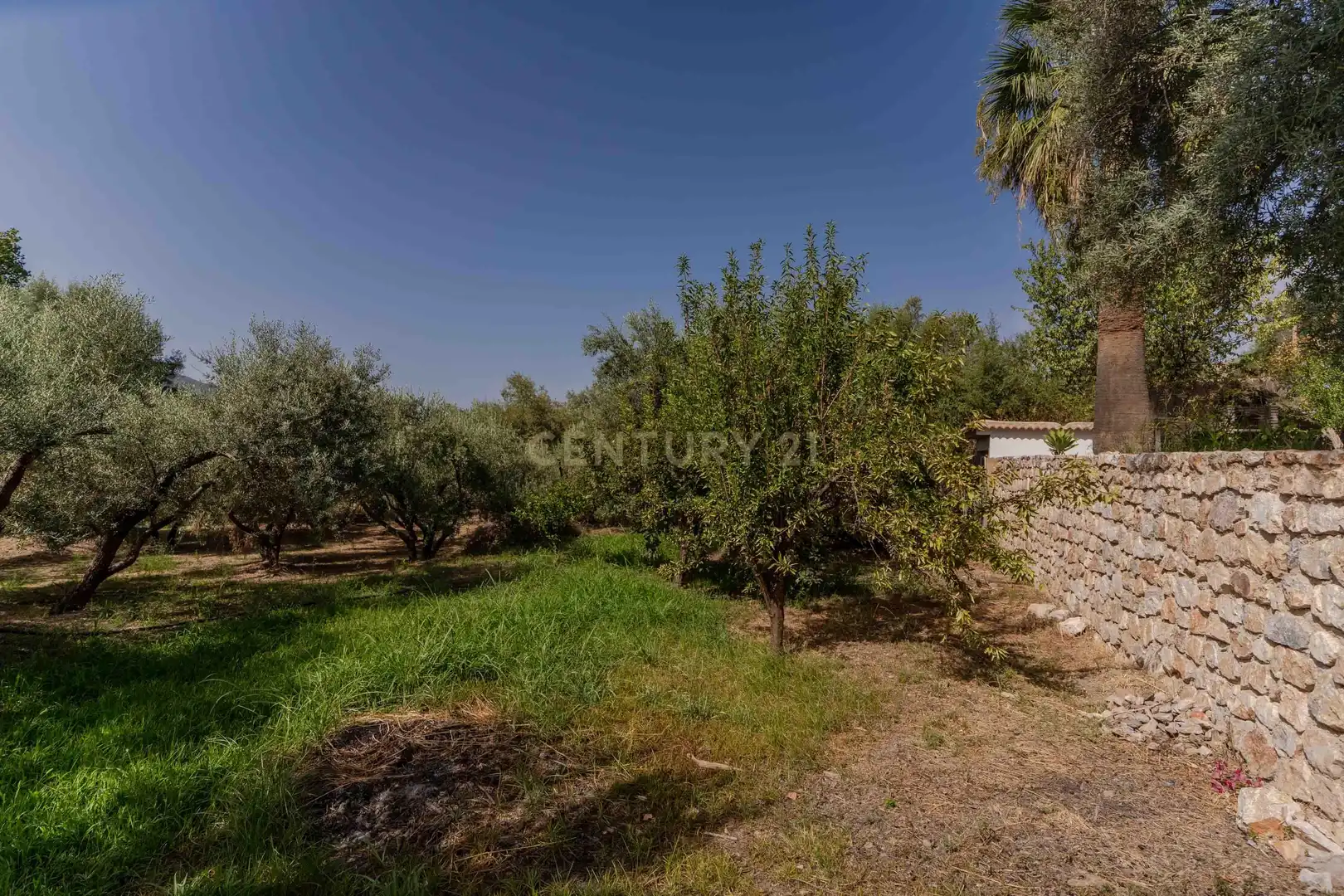 Houses for sale in Órgiva  with Private garden and Swimming Pool
