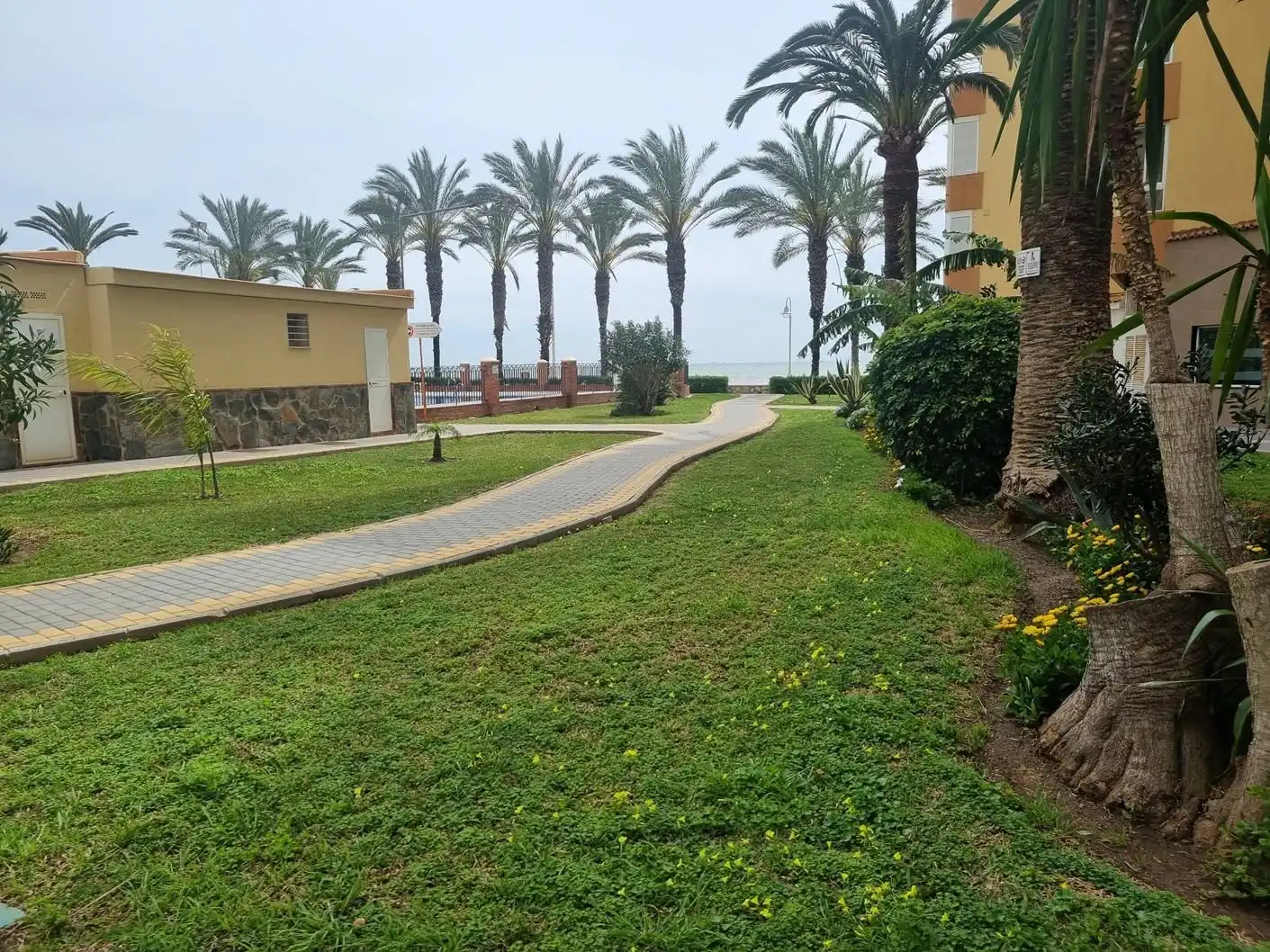 Vista exterior de Estudi de lloguer en Algarrobo amb Aire condicionat, Calefacció i Terrassa